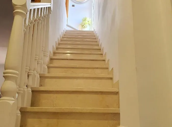 House Case de vacanță